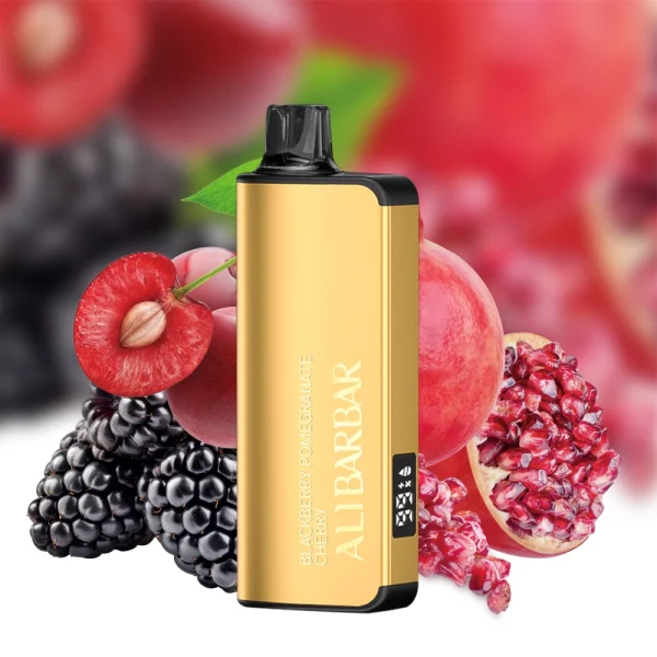 ALIBARBAR 9000 PUFFS-11