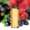 ALIBARBAR 9000 PUFFS-10